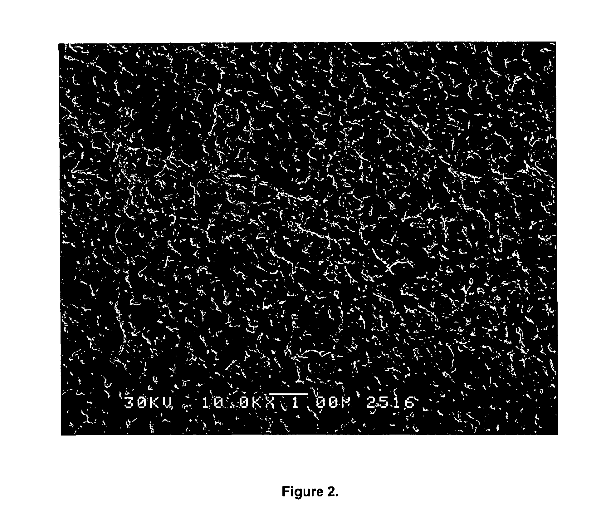 Porous poly(aryl ether ketone) membranes, processes for their preparation and use thereof