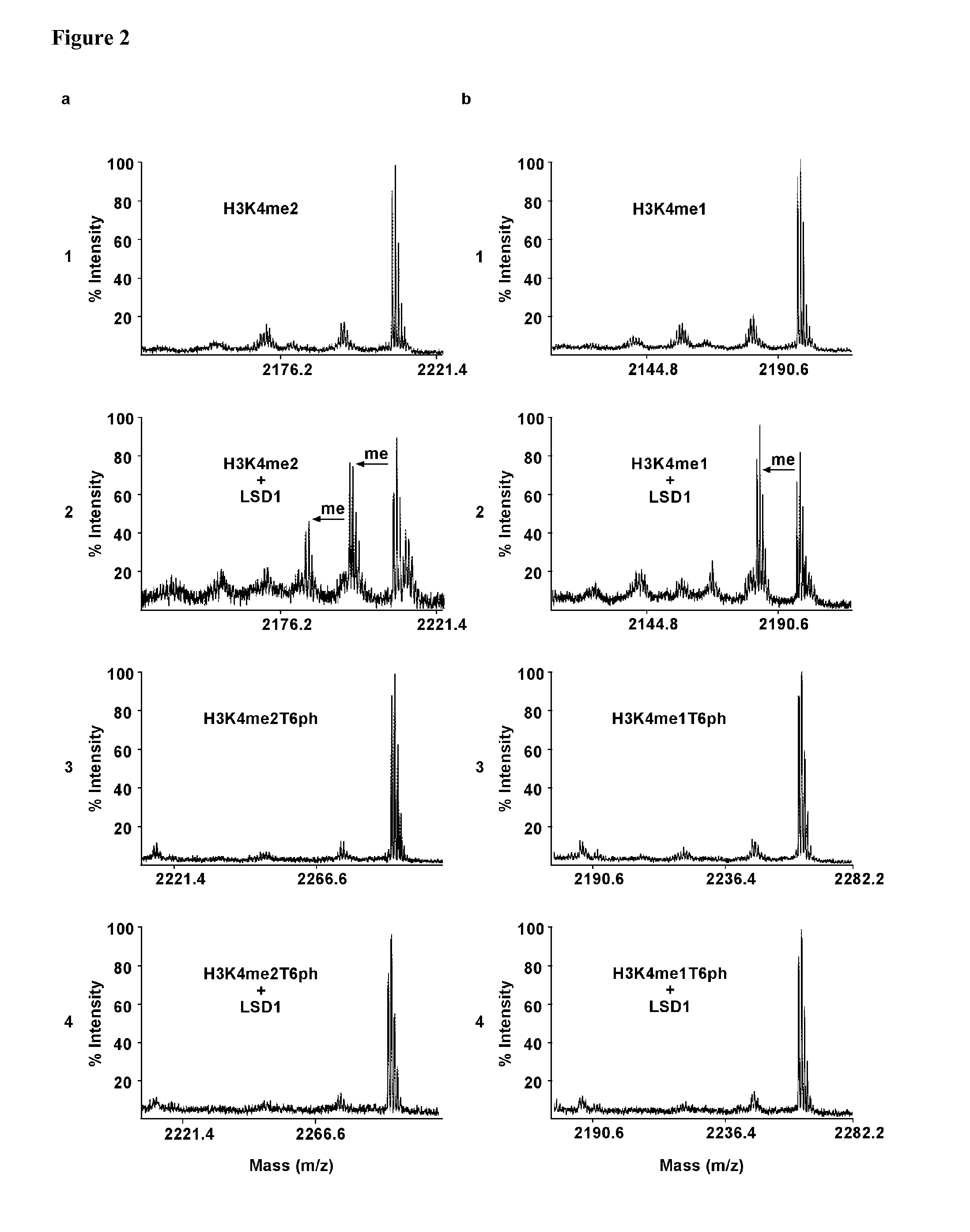 Methods and Compounds for the Diagnosis and Treatment for Cancer