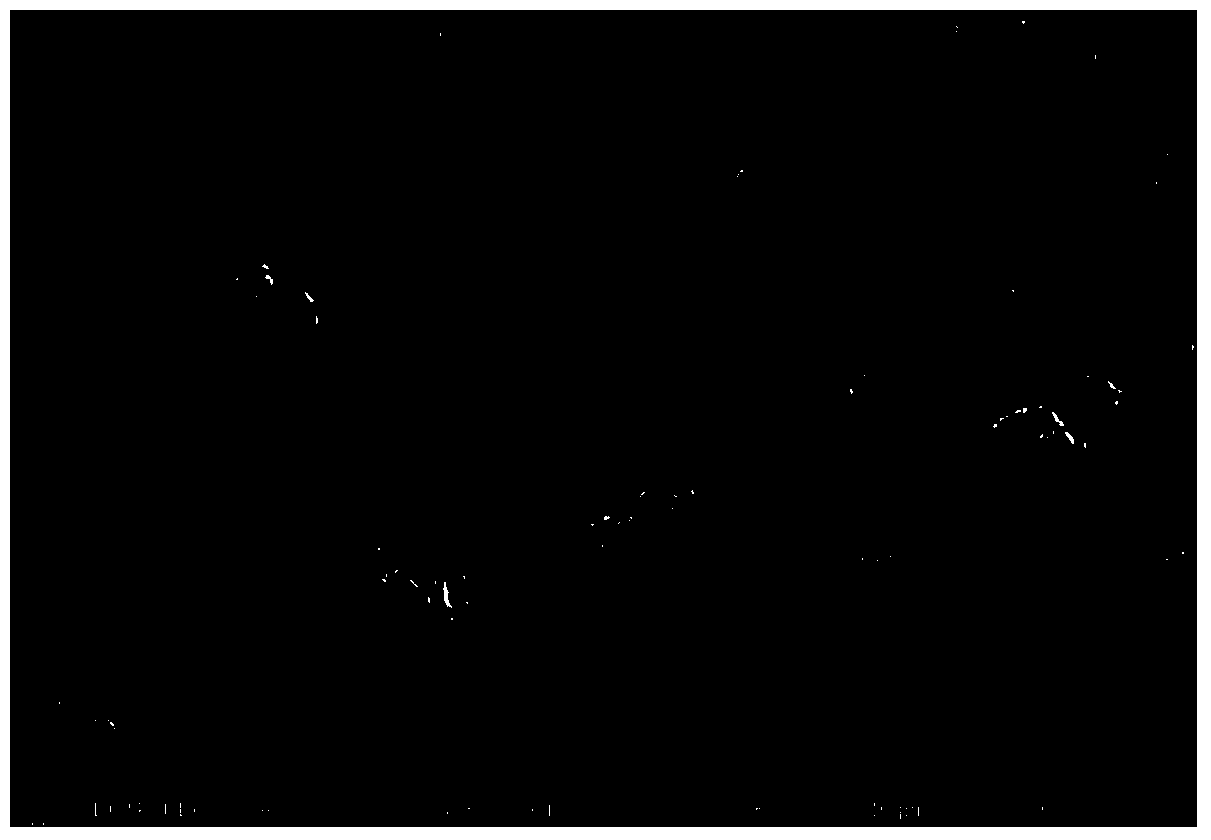 A kind of nickel cobalt aluminum oxide and preparation method thereof