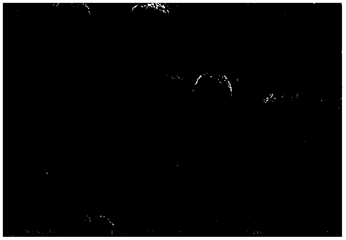 A kind of nickel cobalt aluminum oxide and preparation method thereof