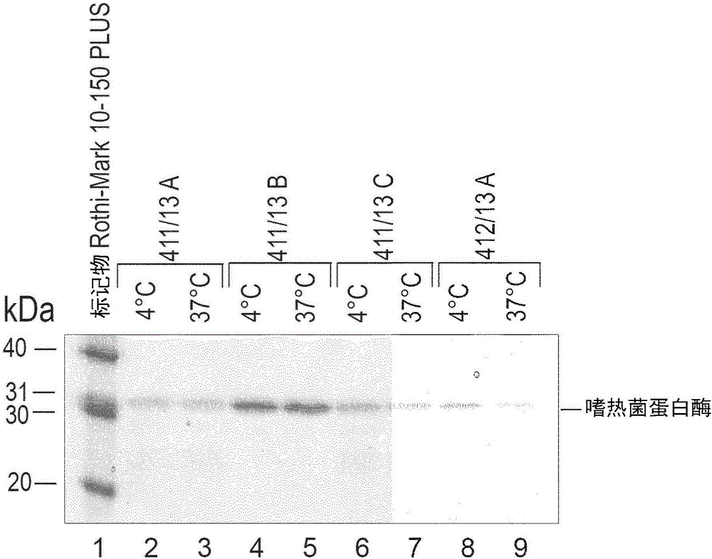 Enzymatic determination of hba1c