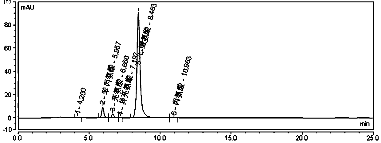 Method for determining other amino acids in L-valine raw material by high performance liquid chromatography