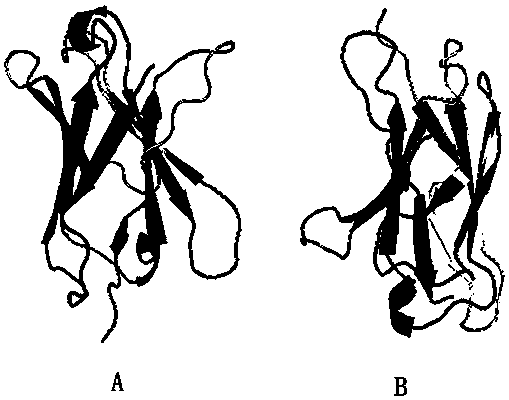 A kind of human insecticidal protein and its preparation method and application