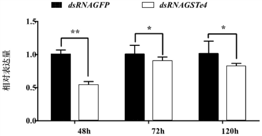 Lymantria dispar linnaeus glutathione-S-transferase GSTe4 gene, dsRNA and application in prevention and treatment of lymantria dispar linnaeus