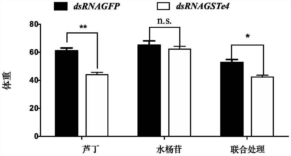 Lymantria dispar linnaeus glutathione-S-transferase GSTe4 gene, dsRNA and application in prevention and treatment of lymantria dispar linnaeus