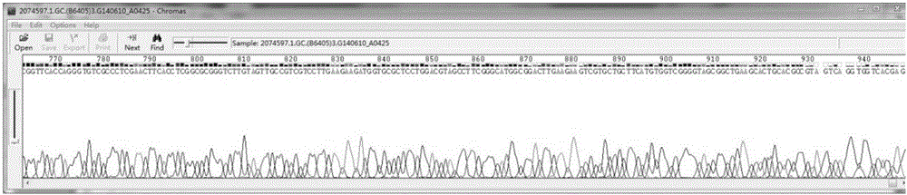 AAV9-CIP virus of expressed neurodegenerative disease protection peptide and preparation method of AAV9-CIP virus