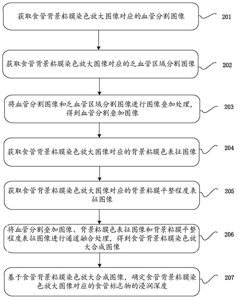 Medical image processing method, device, terminal and storage medium