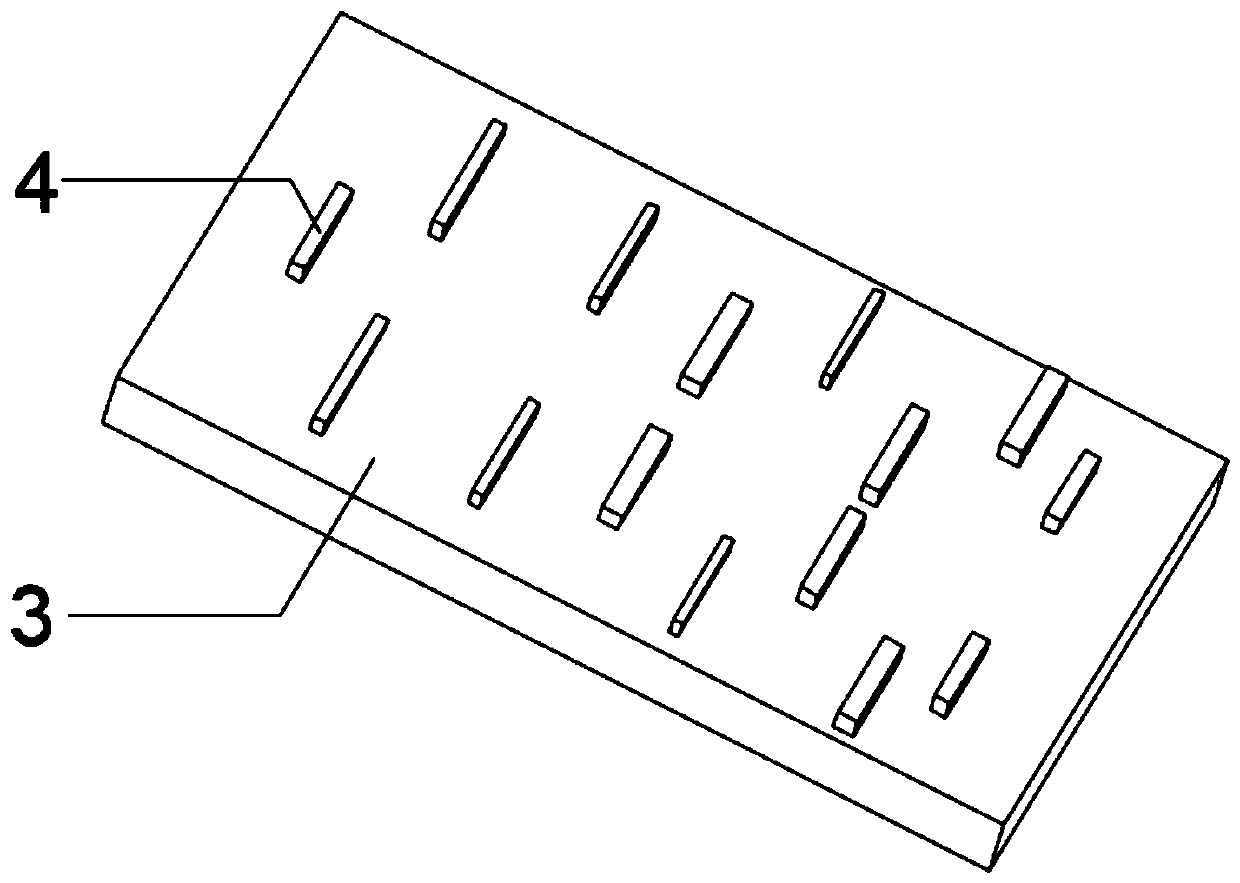 Seed screening device