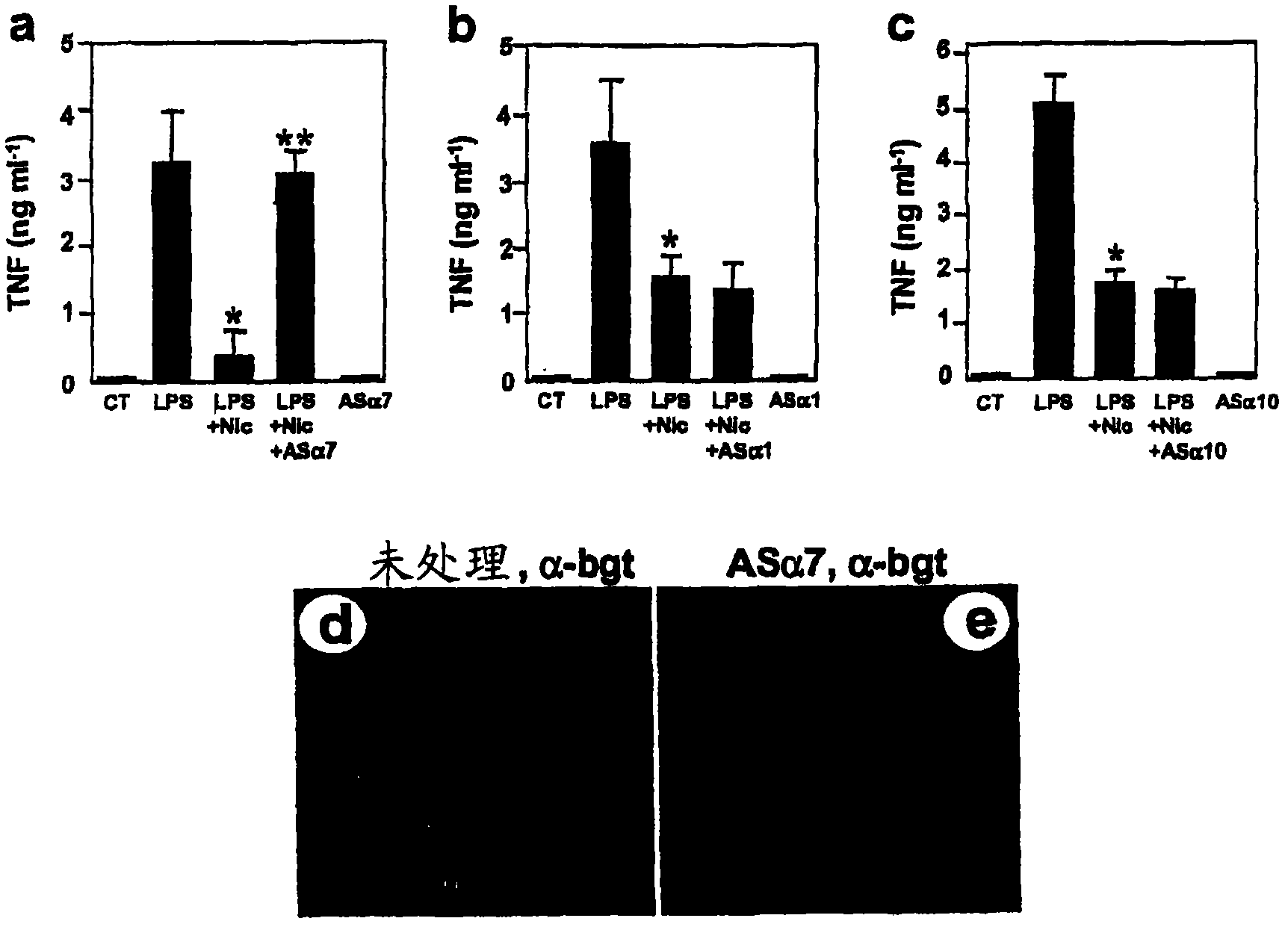 Inhibition of inflammation using alpha 7 receptor-binding cholinergic agonists