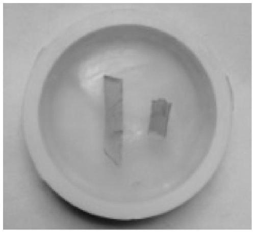 Method for preparing rare earth-doped calcium tungstate crystals for quantitative calibration of elements