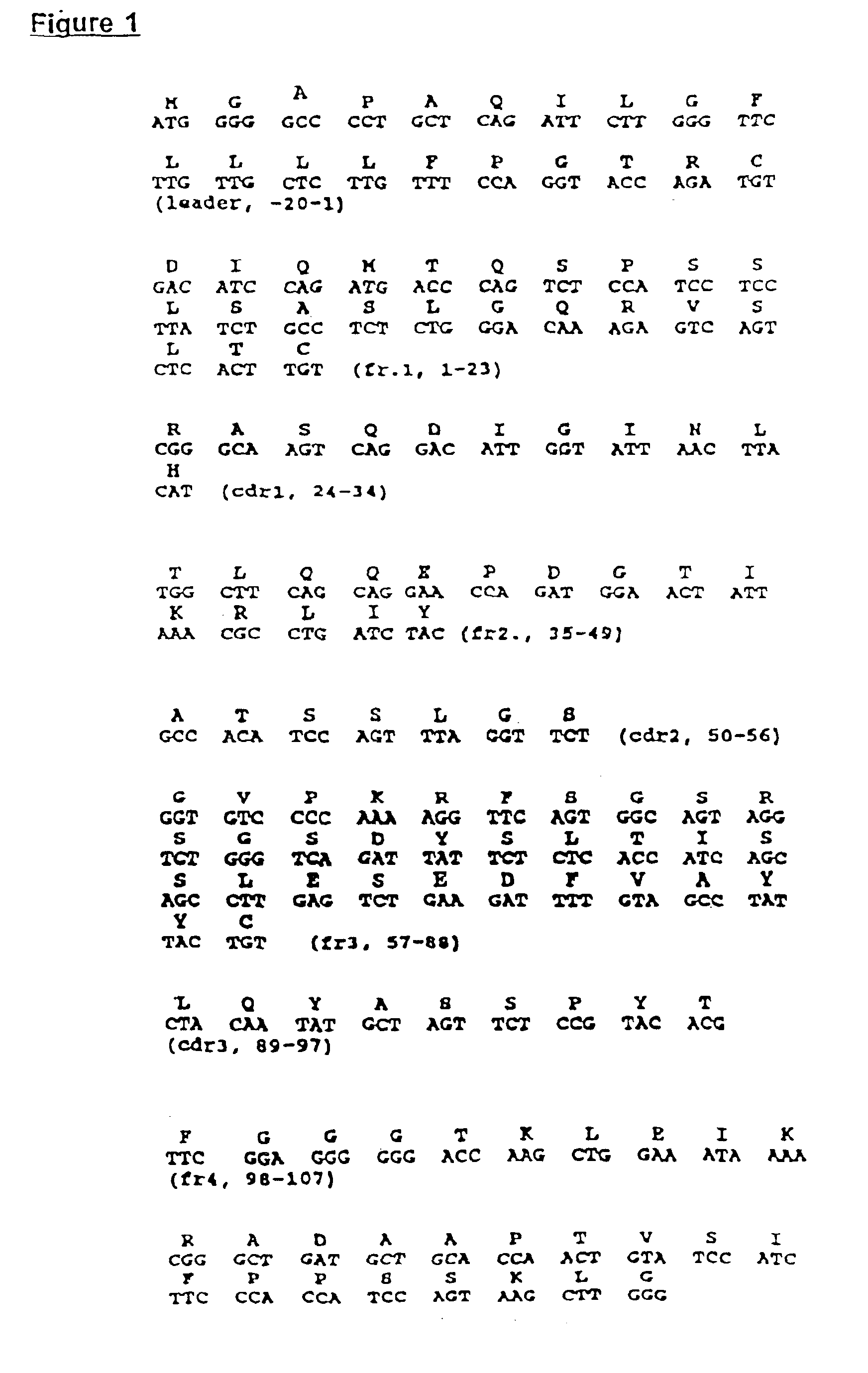 Polynucleotides related to murine anti-idiotype antibody 11D10 and methods of use thereof