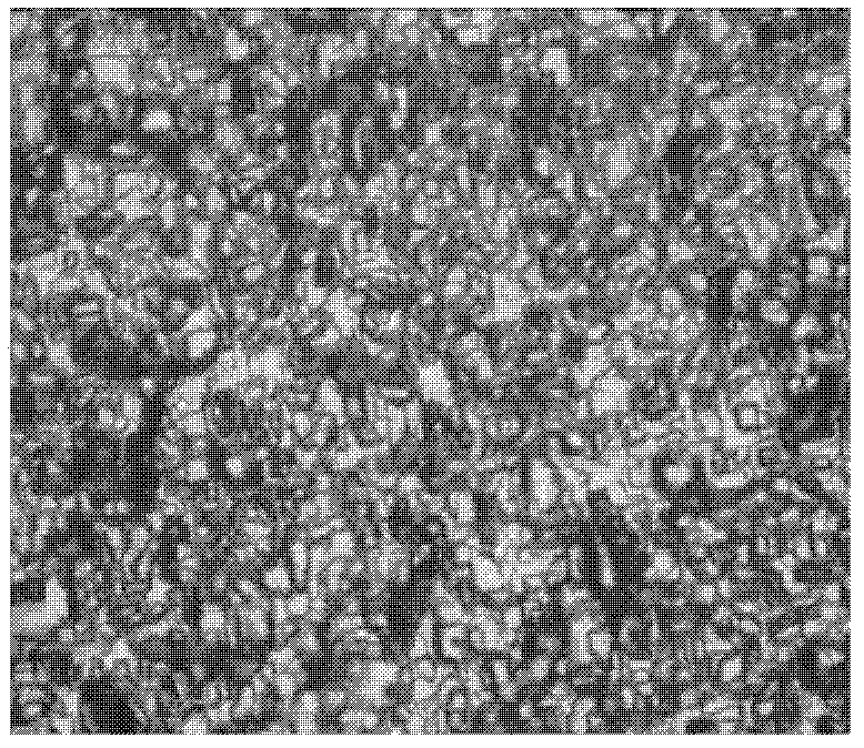 Preparation method of organic film transistor