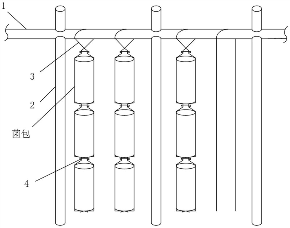 Bracket for hanging agaric fungus bag