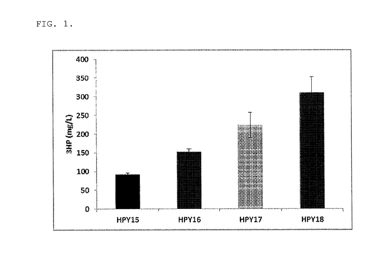 Microbial production of 3-hydroxypropionic acid