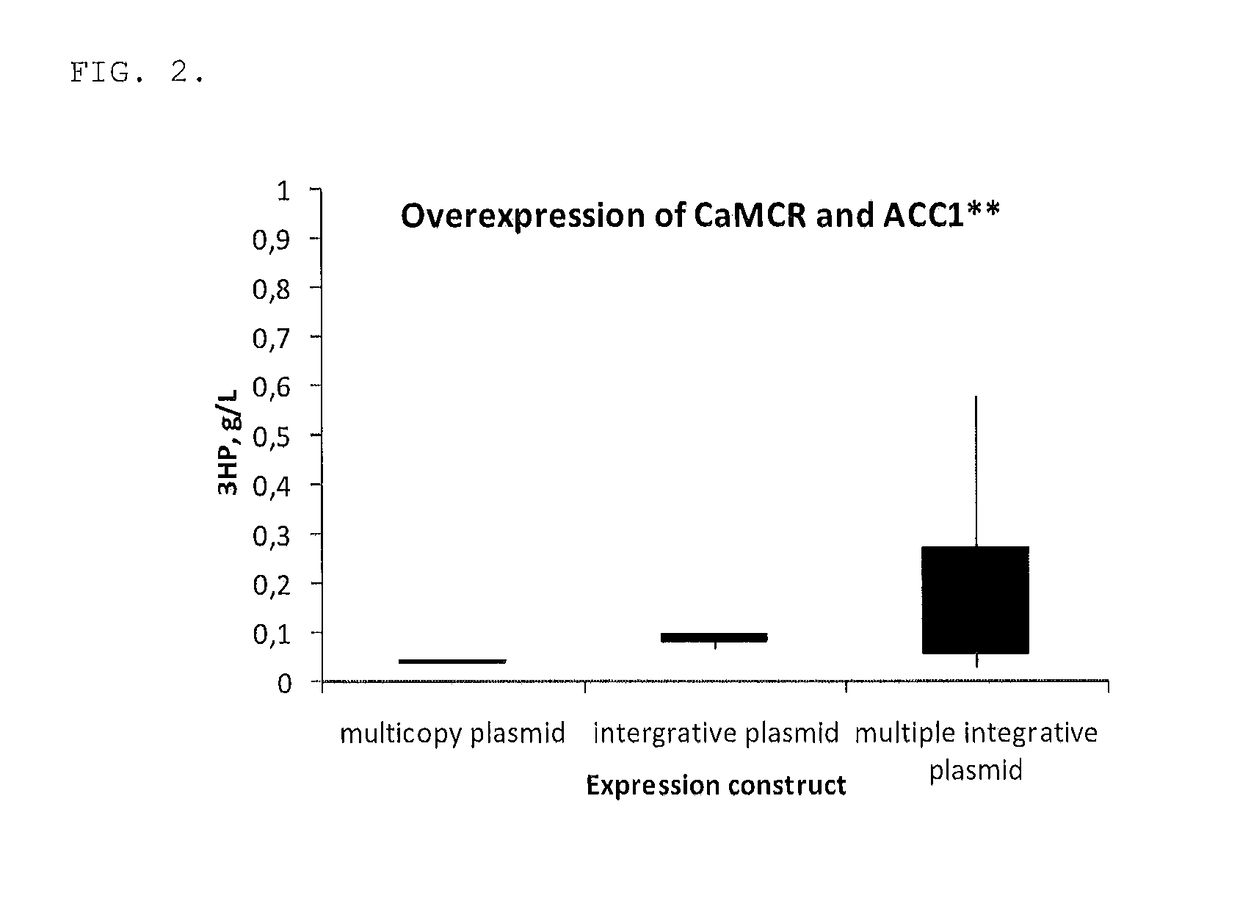 Microbial production of 3-hydroxypropionic acid