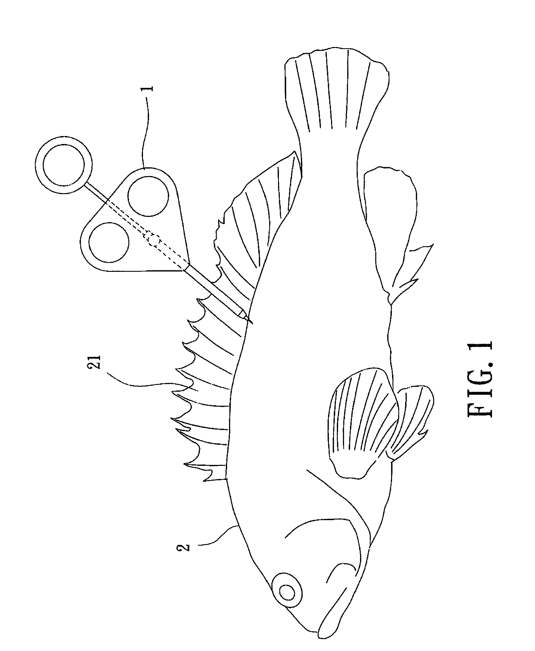 Artificial decapeptide for inducing vitellogenesis in fish