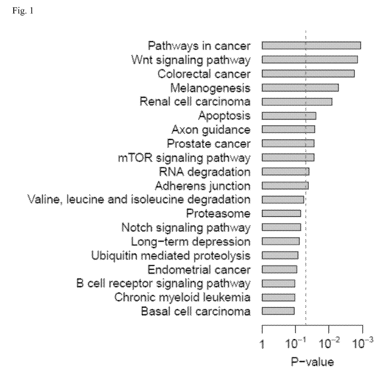 Systems and methods for characterizing cancer