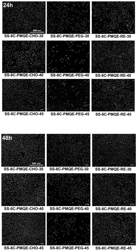 Quaternary ammonium salt cationic antibacterial and antifouling coating layer as well as preparation method and application thereof