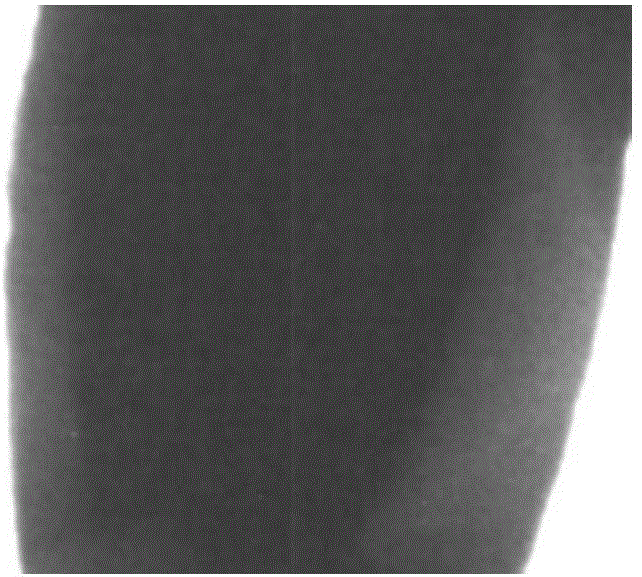 Method for detecting internal defects of 3D (Three-dimensional) hard gold jewelry based on X rays