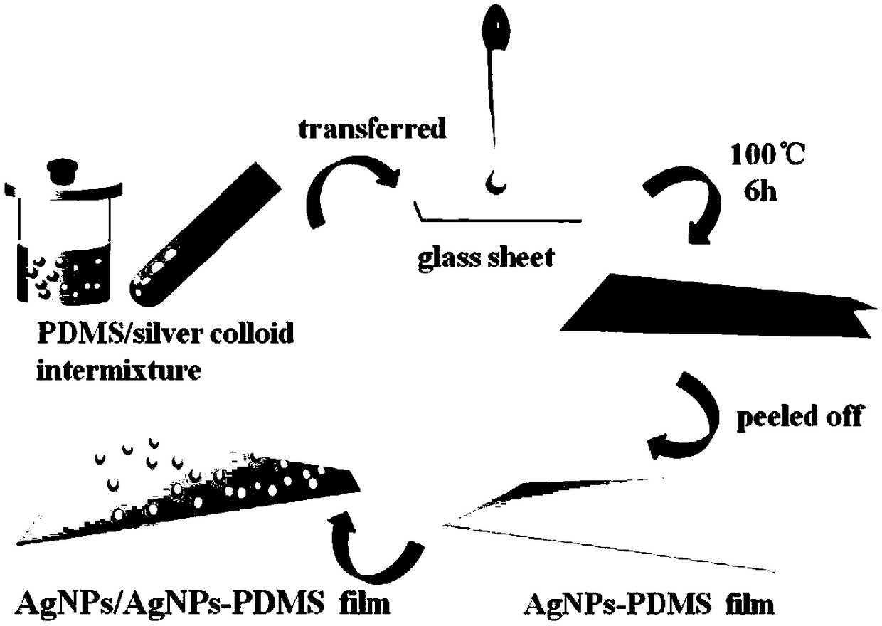 Composite flexible surface enhanced Raman substrate based on silver nanoparticles and preparation method of substrate