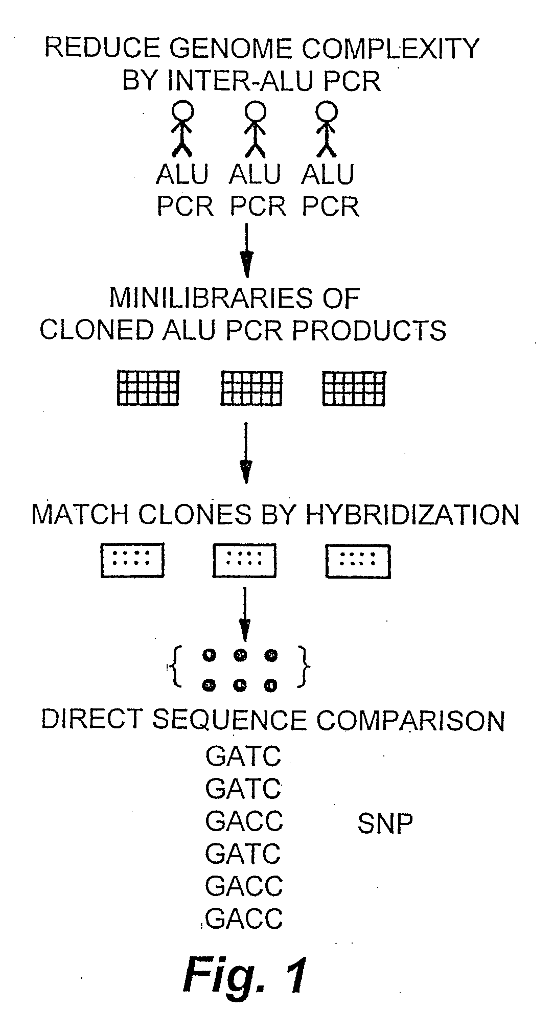 Methods and products related to genotyping and DNA analysis