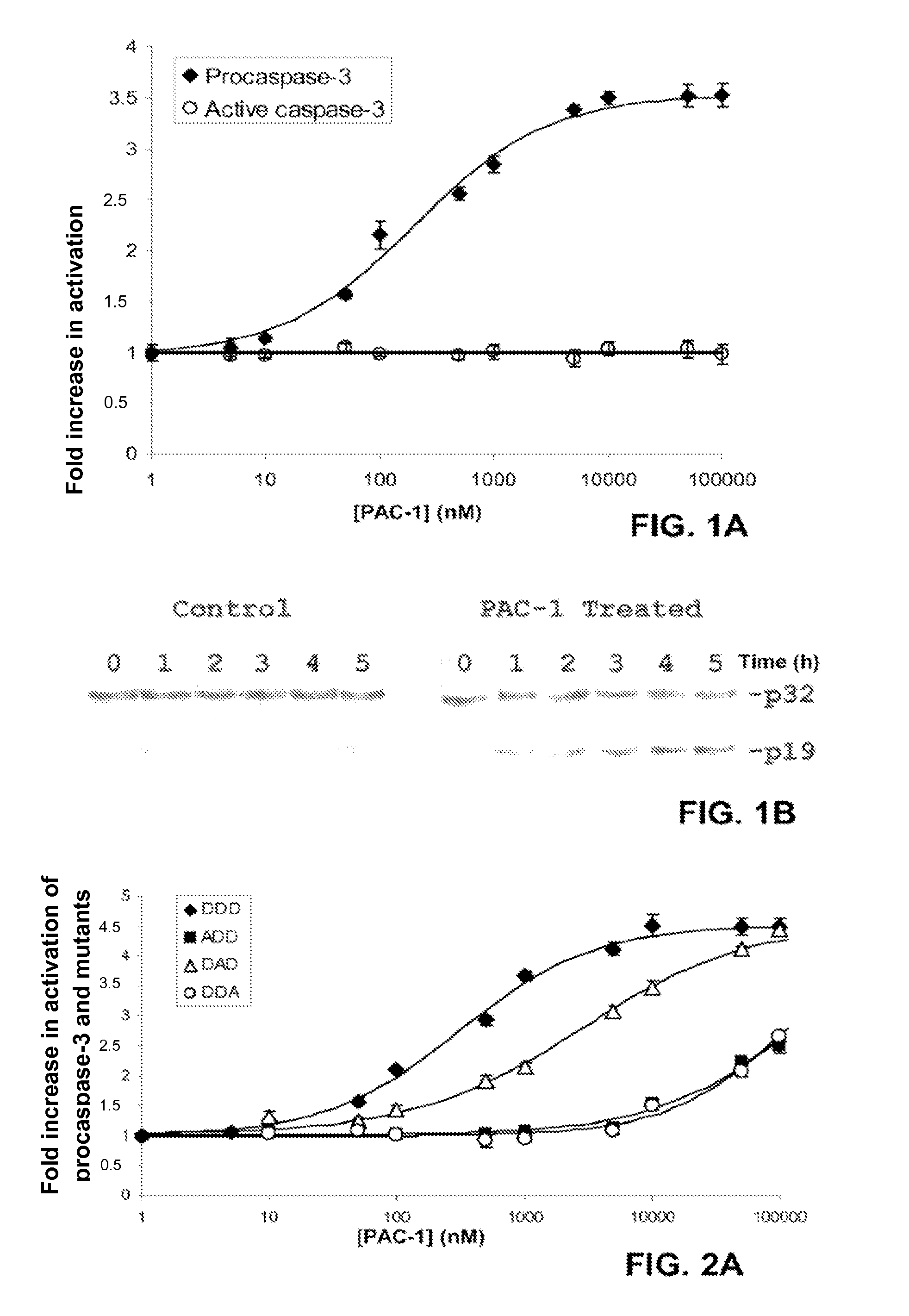 Compositions and methods including cell death inducers and procaspase activation