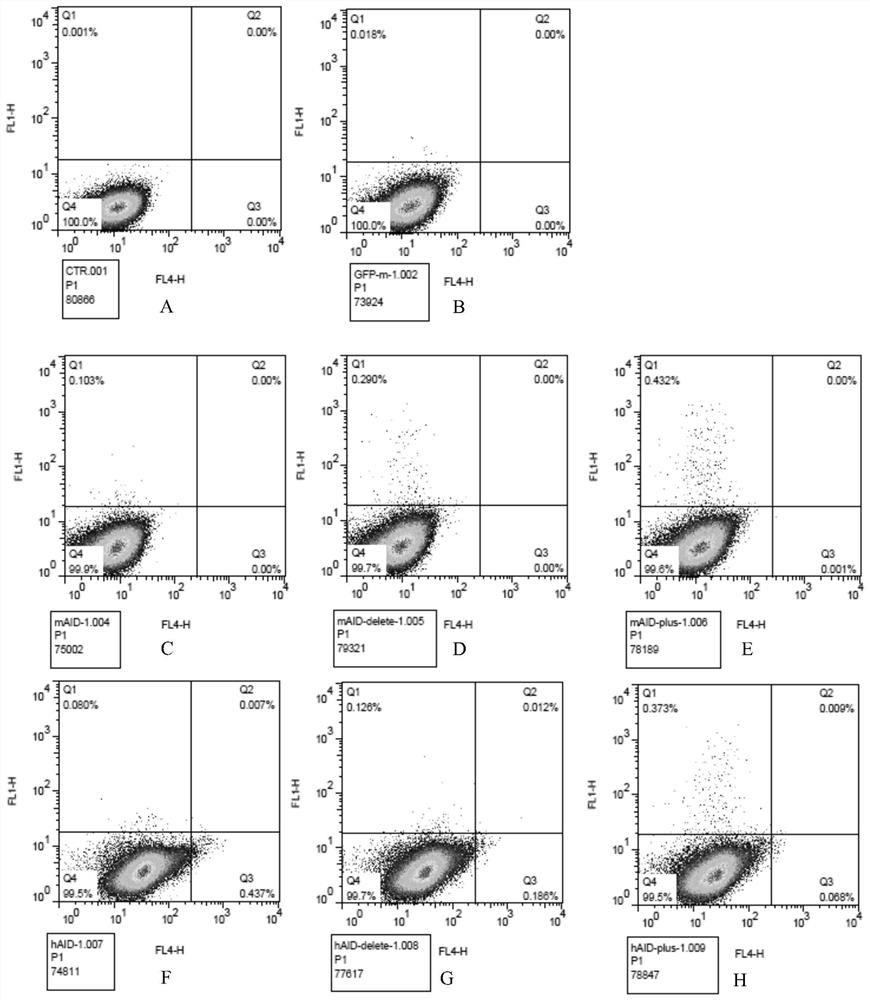 A kind of aid enzyme mutant and application thereof