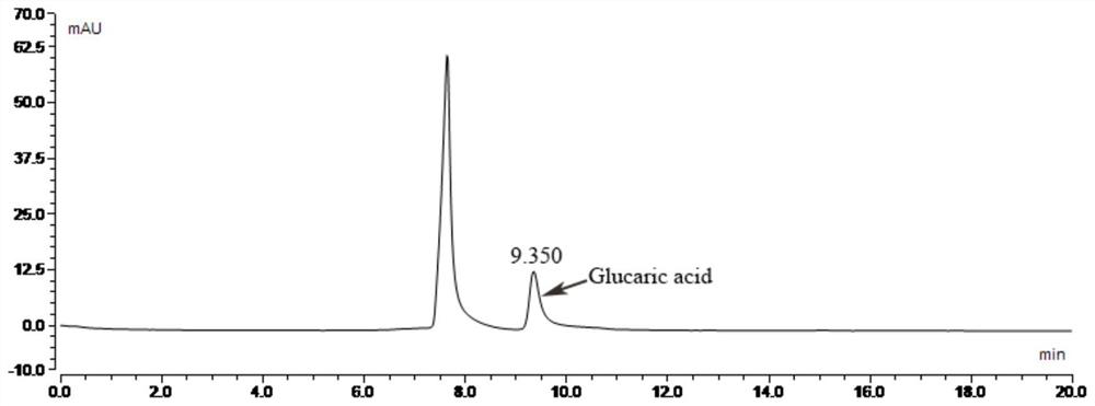 Engineering strain for efficient biosynthesis of glucaric acid (GA) and application of engineering strain