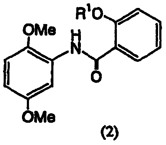 Salicylamide derivatives and preparation method thereof