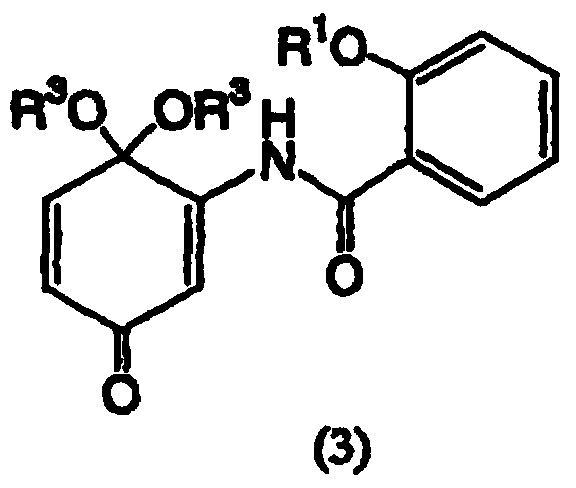 Salicylamide derivatives and preparation method thereof