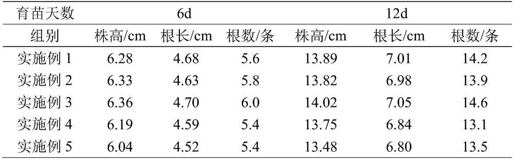 Efficient germination accelerating and rapid seedling raising method for rice seeds