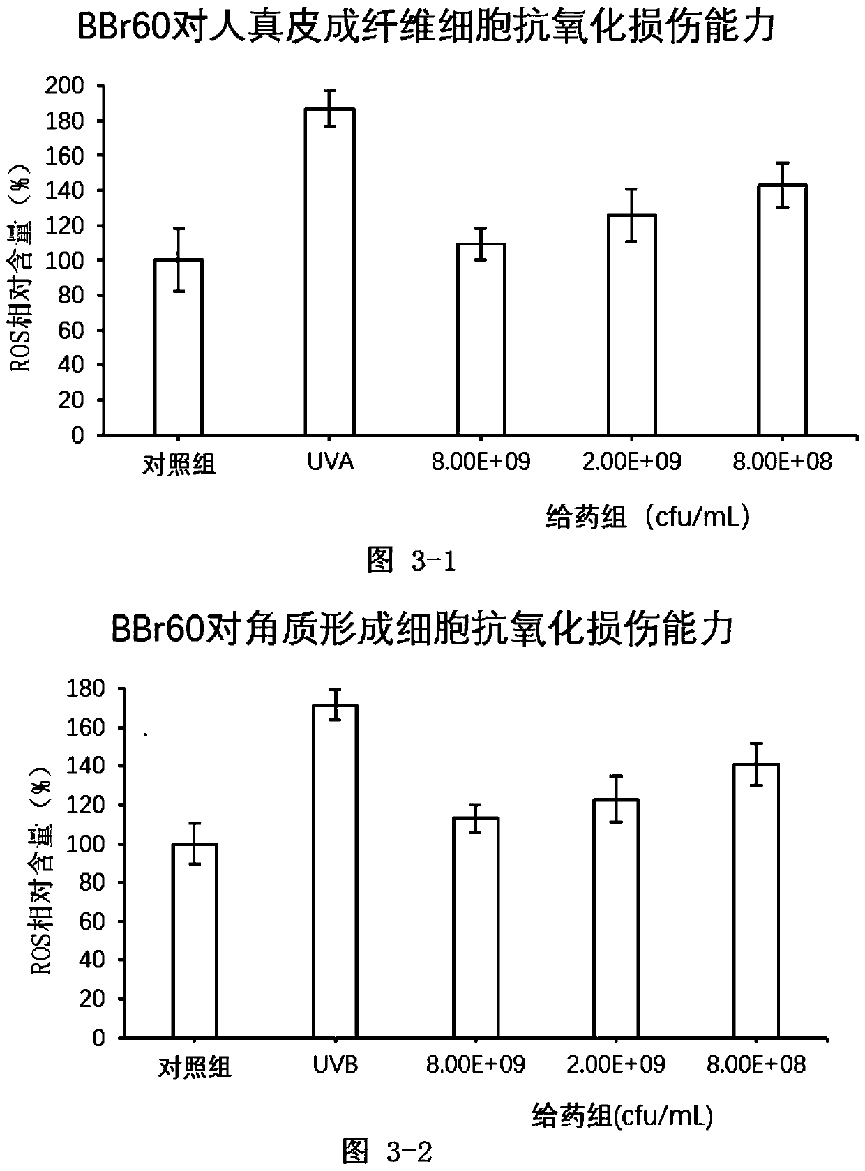 Bifidobacterium breve with effects of repairing ultraviolet injury, relieving inflammation and preventing skin light aging, and preparation method and application thereof