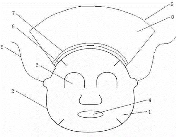 Three-dimension head face nursing cover