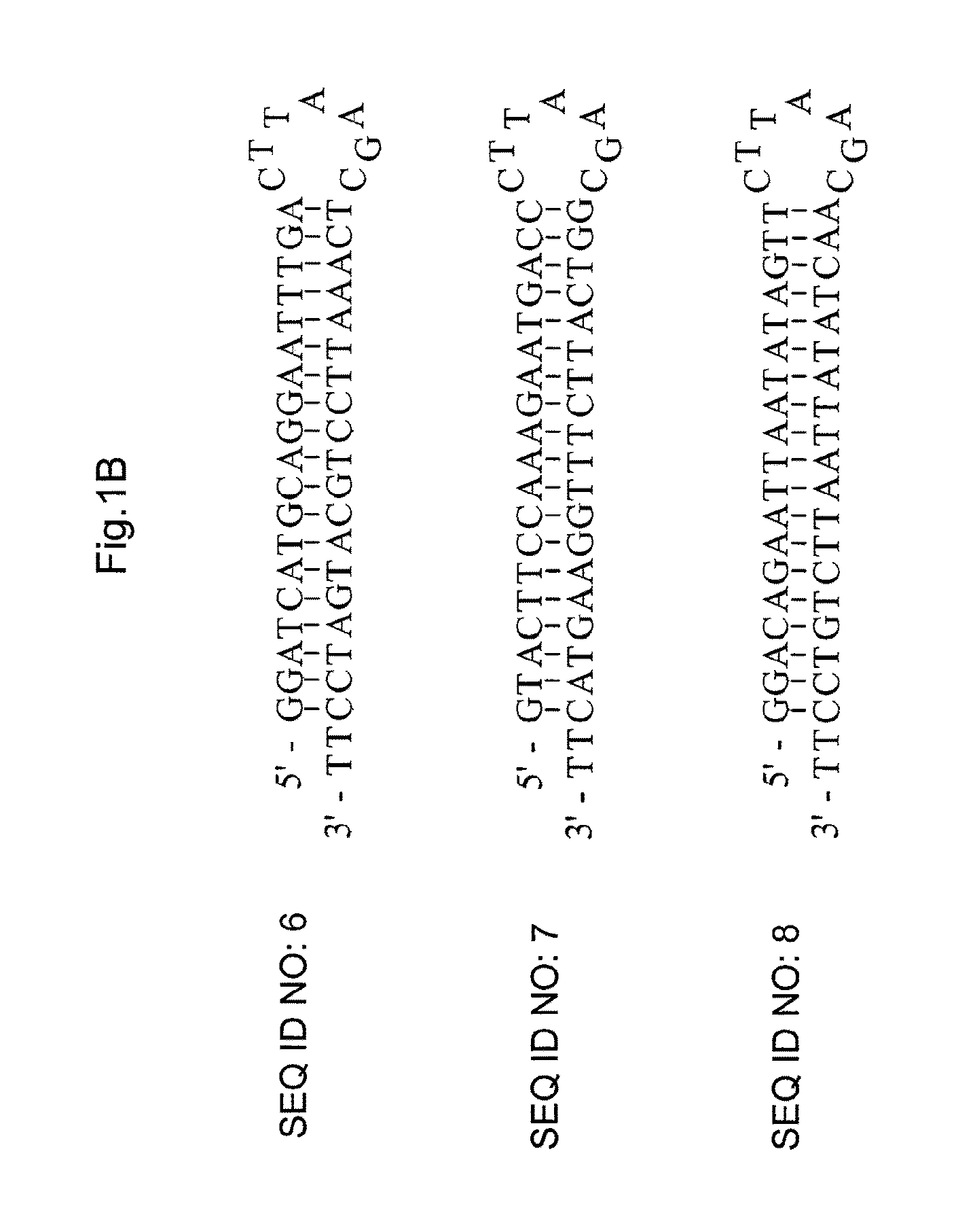 Application of RNA Interference Targeting dhfr Gene, to Cell for Producing Secretory Protein