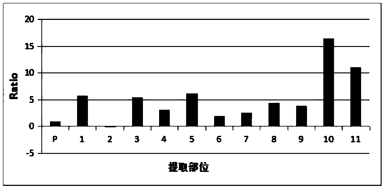 Method for preparing PD-1/PD-L1 inhibitor from clematis tangutica