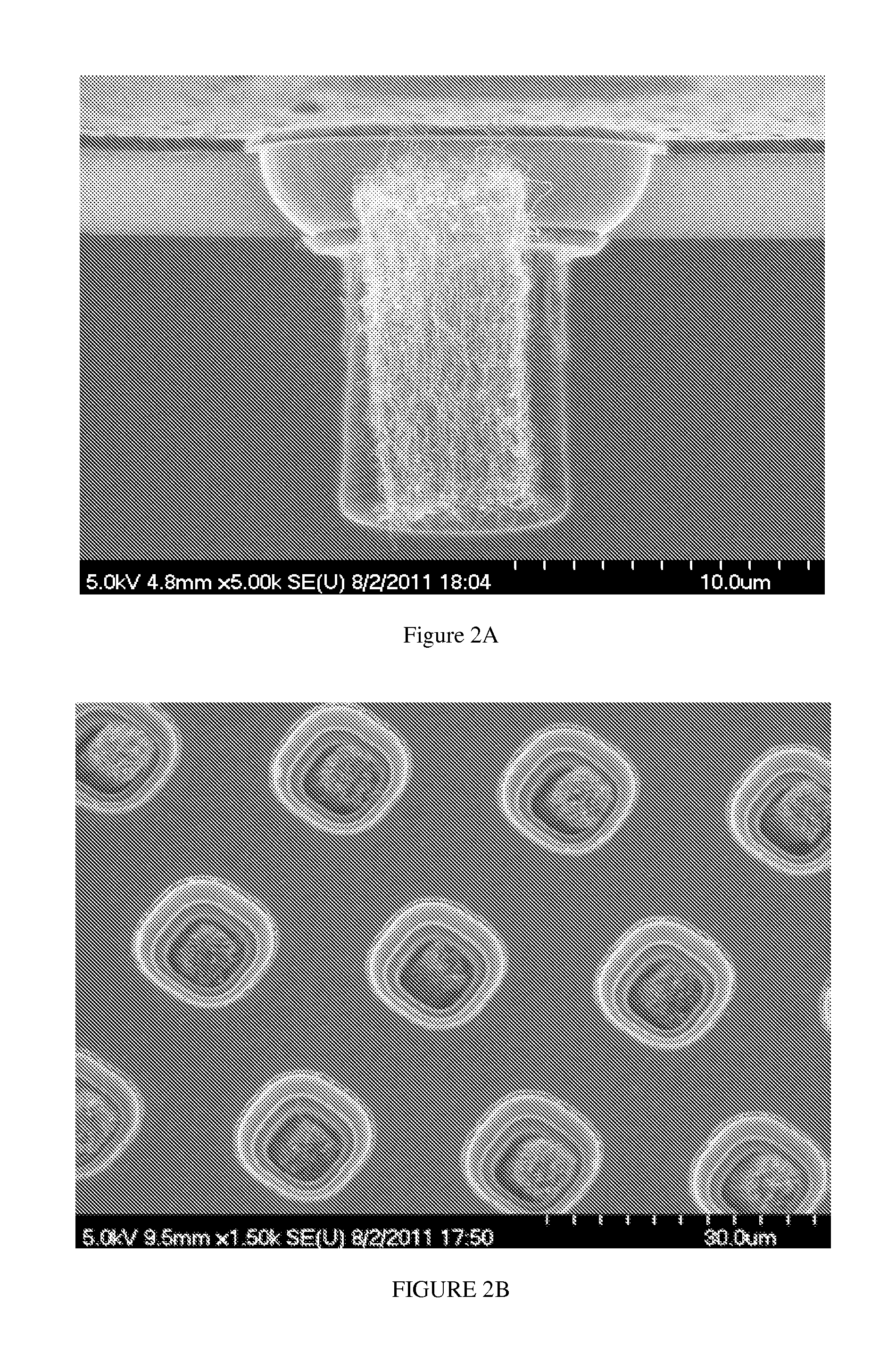 Carbon nanotube field emission devices and methods of making same