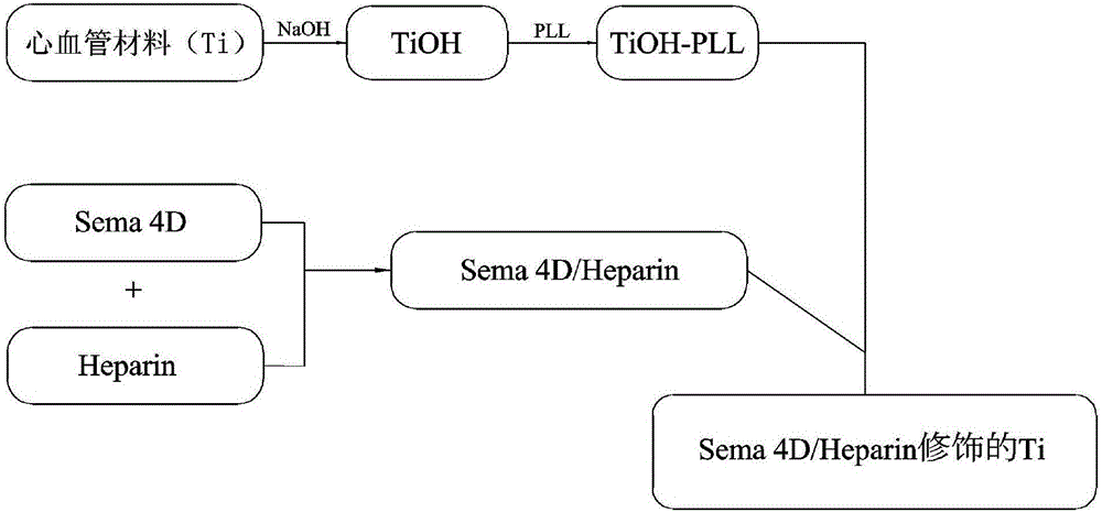 Method for constructing Sema 4D/Heparin microenvironment on surface of cardiovascular implanted material