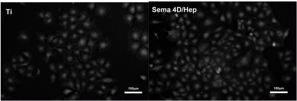 Method for constructing Sema 4D/Heparin microenvironment on surface of cardiovascular implanted material