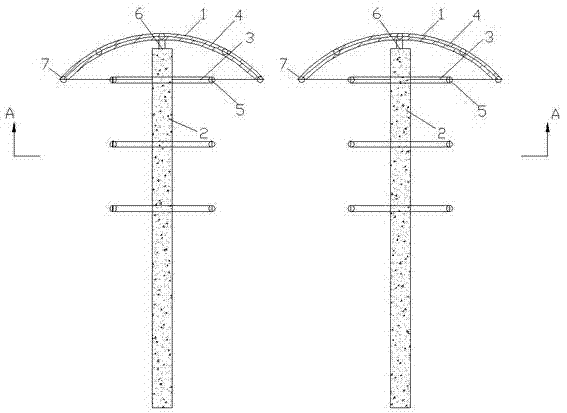 Method for high-density layered fruit bearing for grape cultivation in south