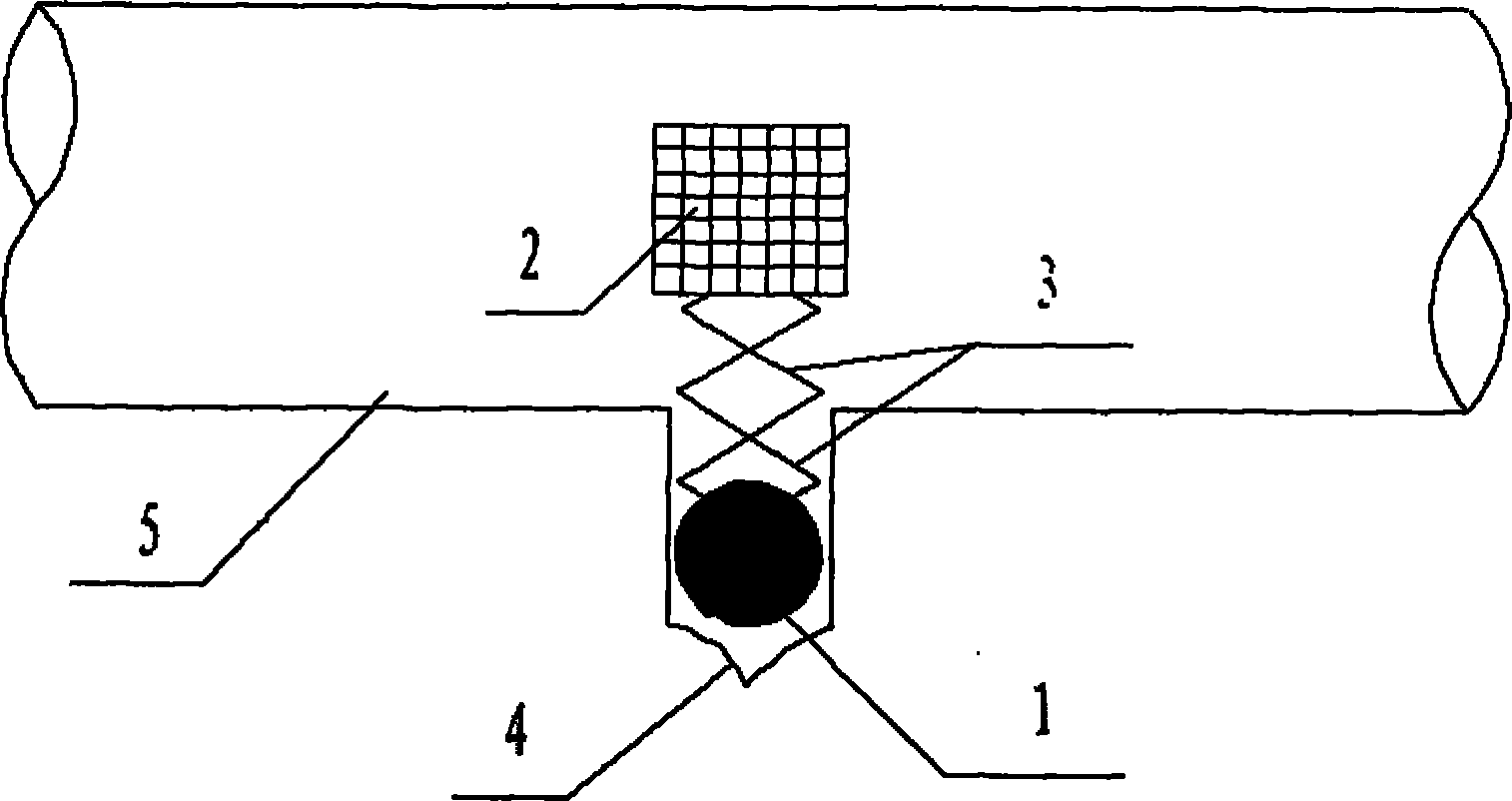 Double-reed amalgam component for electrodeless lamp