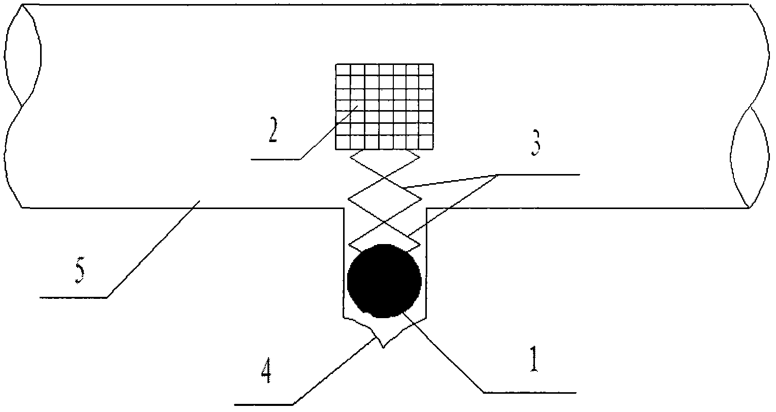 Double-reed amalgam component for electrodeless lamp