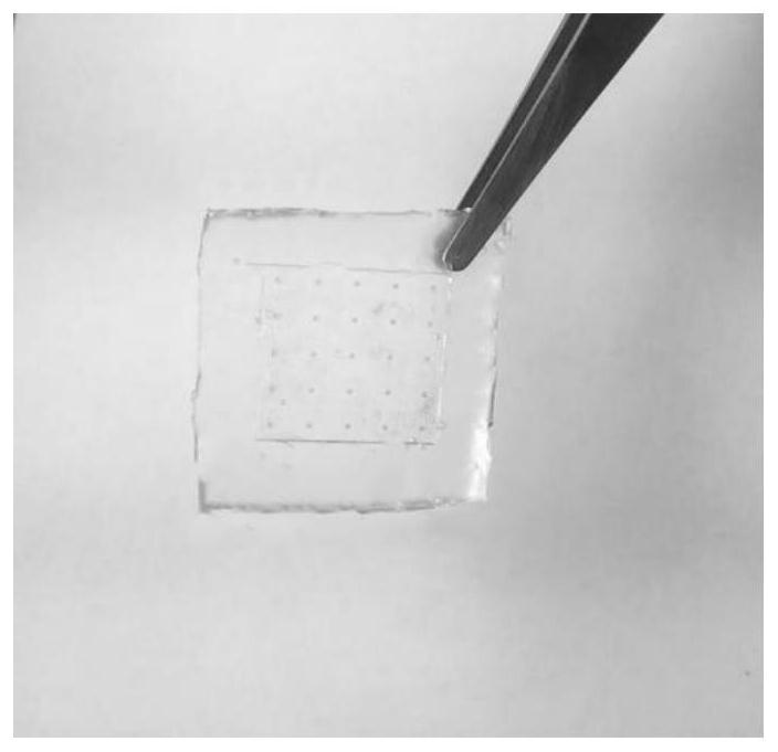 A kind of composite microneedle and microneedle patch