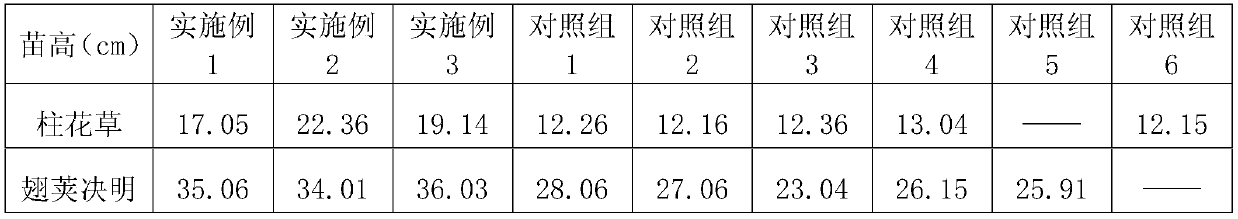 A kind of interplanting method of Cassia pterygium and Stylophyllum