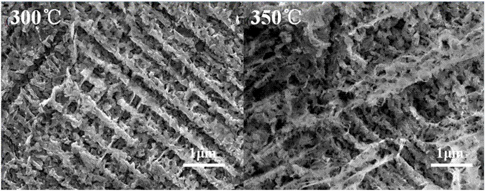 Porous lamellar-structured bismuth tungstate film as well as preparation method and application thereof