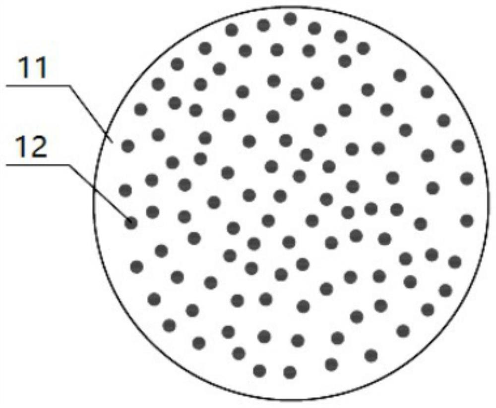 Plastic sheet embedded particle composite electrode and preparation method thereof