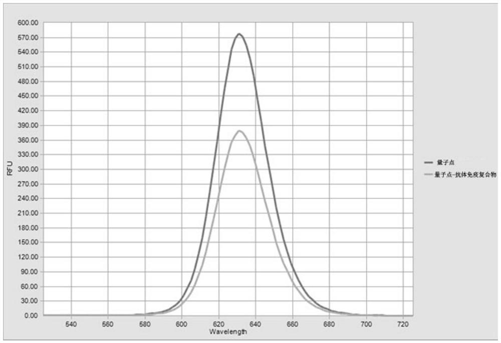 A kind of preparation method of quantum dot-antibody immune complex