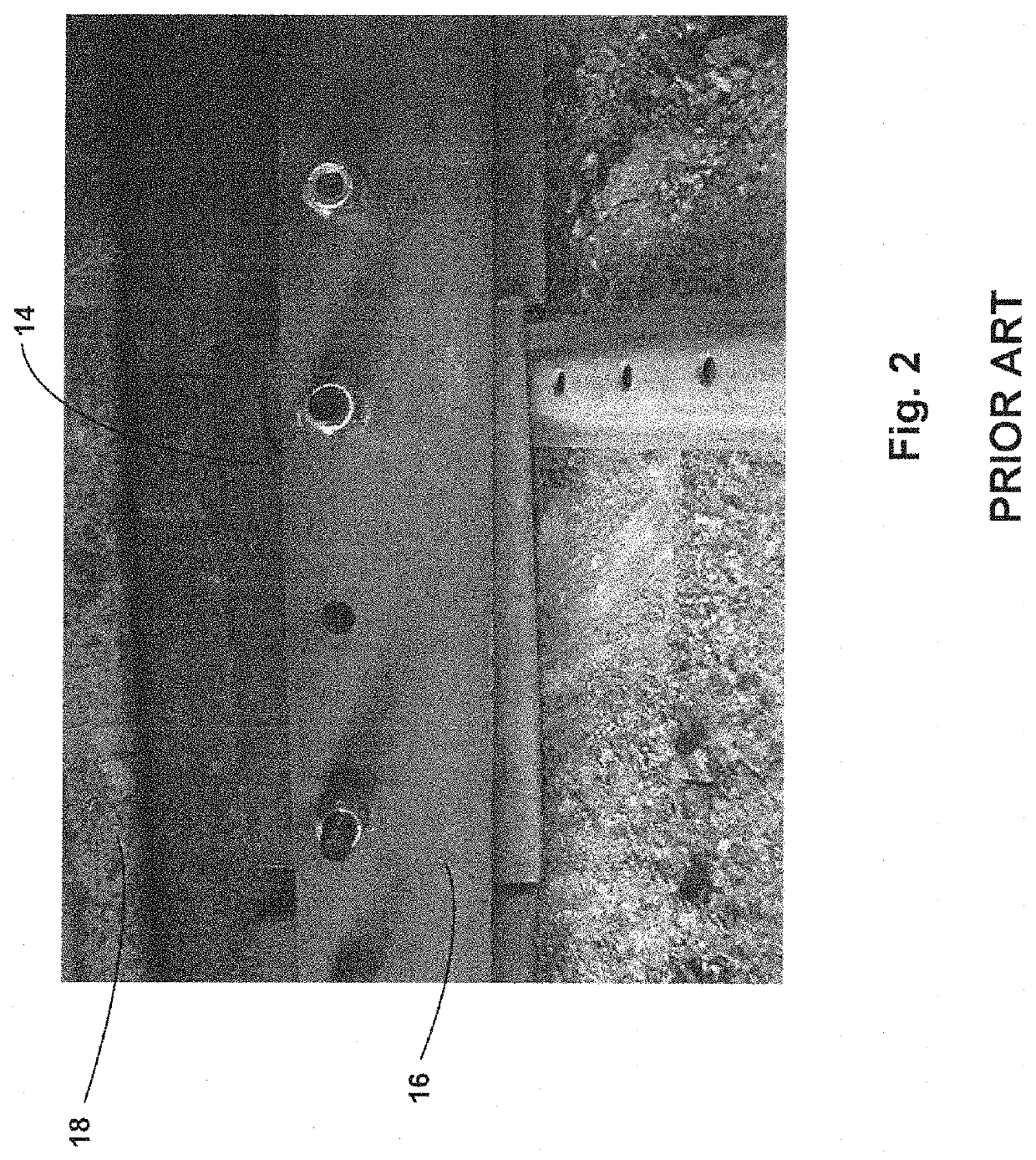 Sweeping blade device with adjustable blades