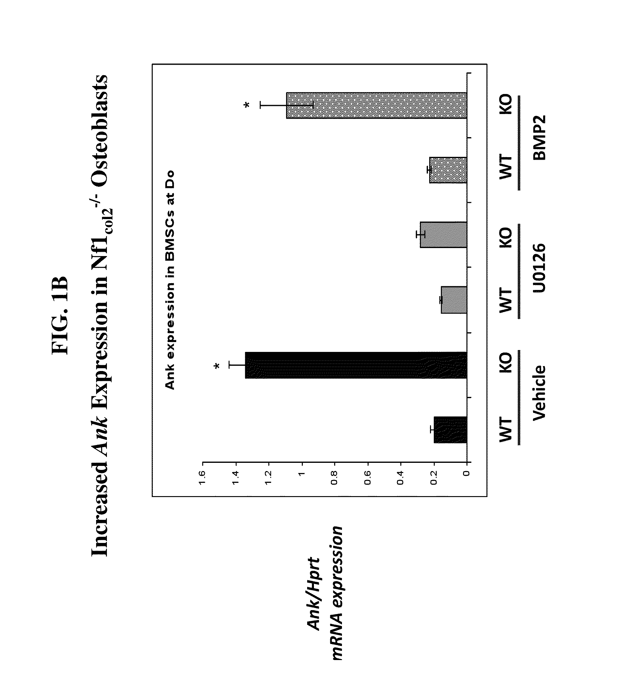 Compositions comprising alkaline phosphatase and/or natriuretic peptide and methods of use thereof