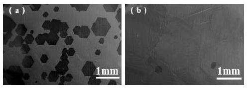 Preparation method of high-quality wafer-level graphene single crystal