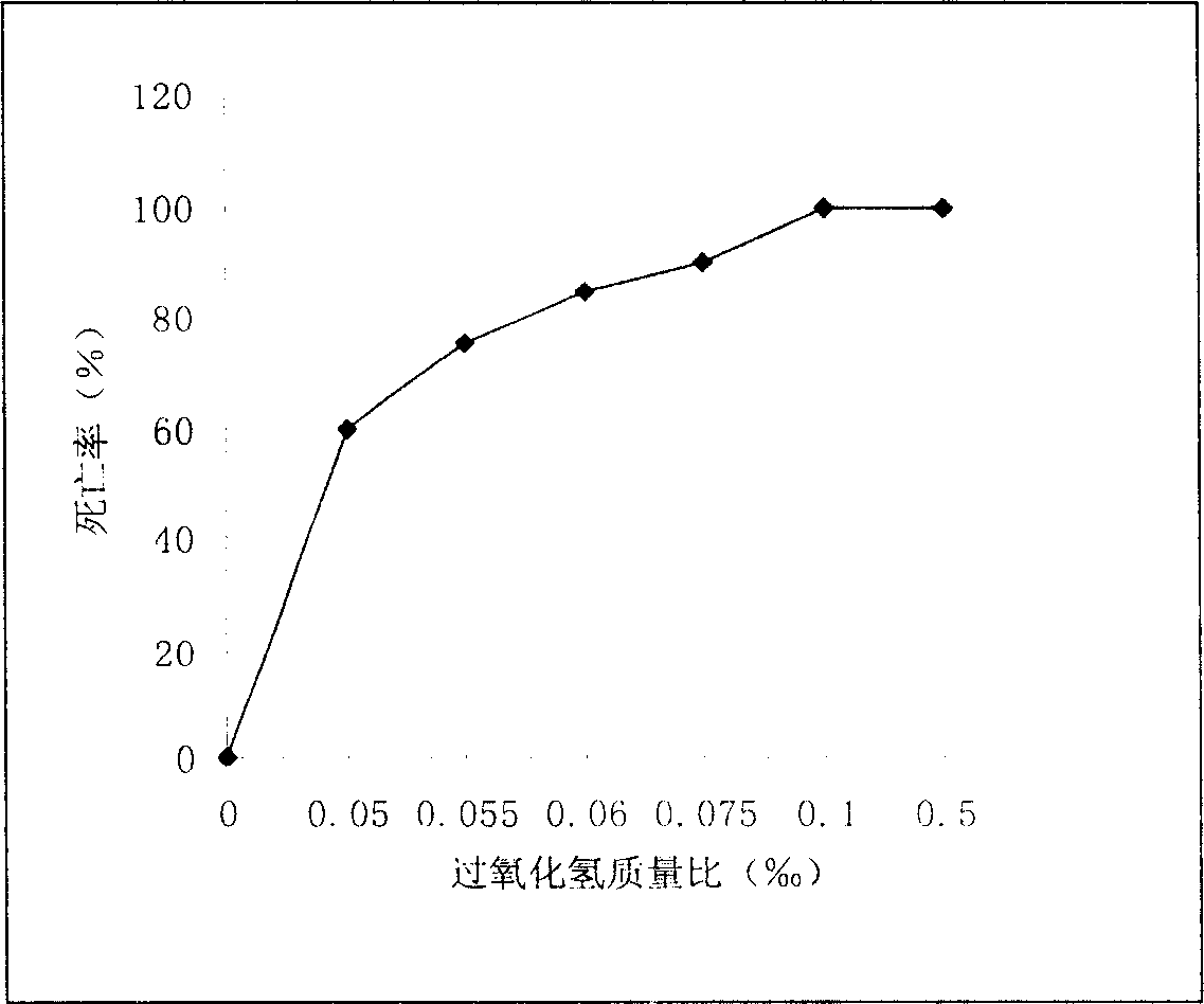 Control technology for tubificidae in tap water